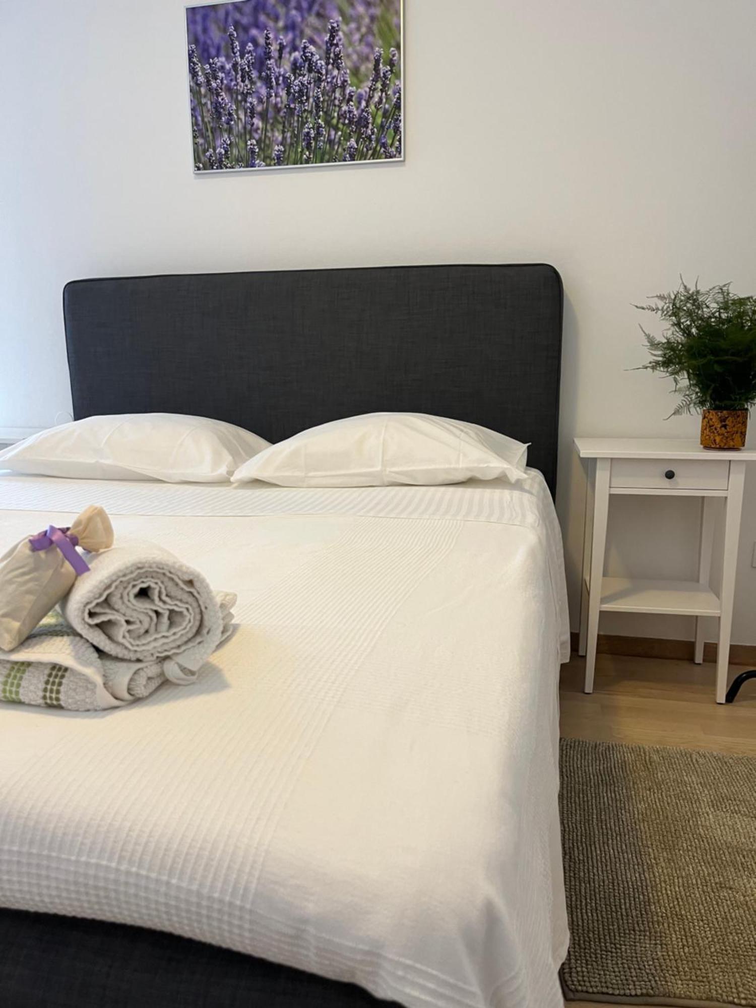 Apartments Zanini เมดูลิน ภายนอก รูปภาพ